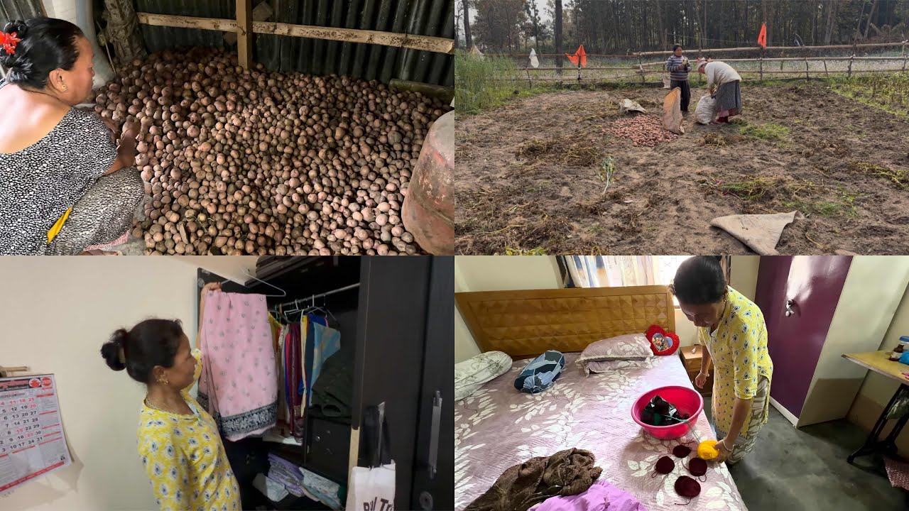 Organic aalu ghar ko 🥔 // Aama la saree sale garna hara 🥰🥰