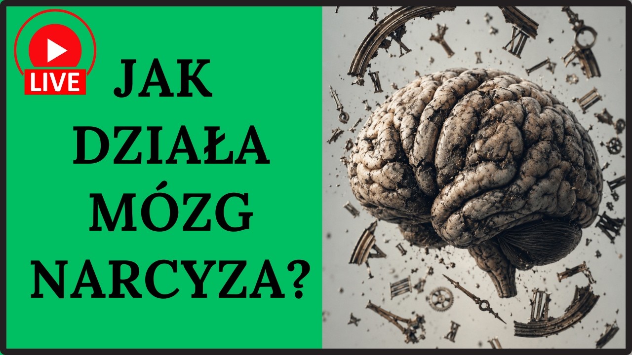 Jak działa m&oacute;zg osoby narcystycznej?
