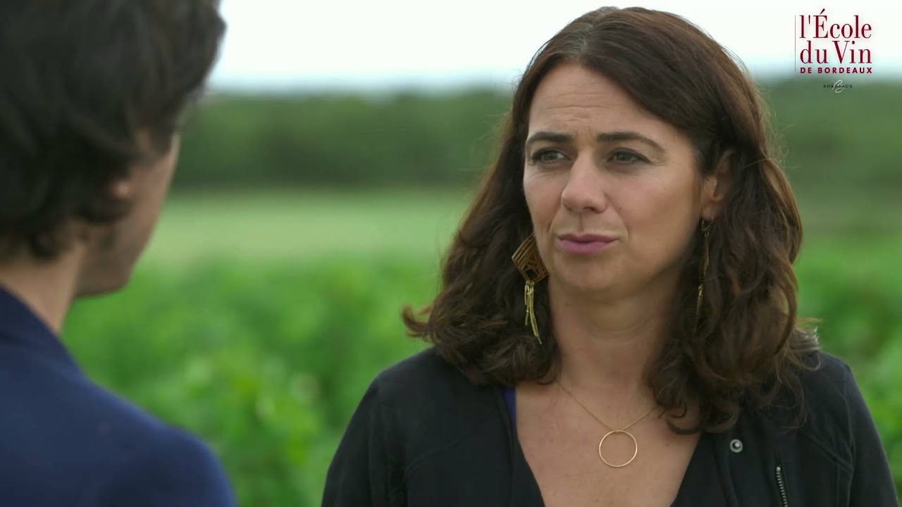 The Bordeaux 1855 classification