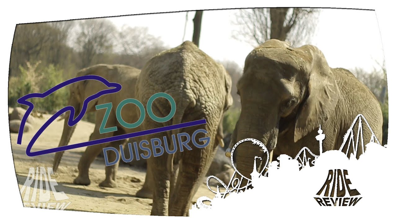 Zoo Duisburg - Impressions