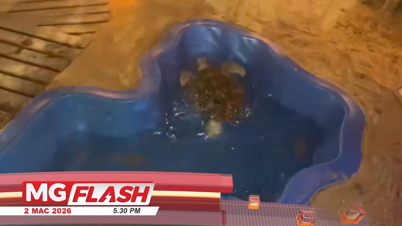 Padah Letak Penyu Dalam Kolam Sempit, JPNT Arah Pameran Ditutup #MGFlash