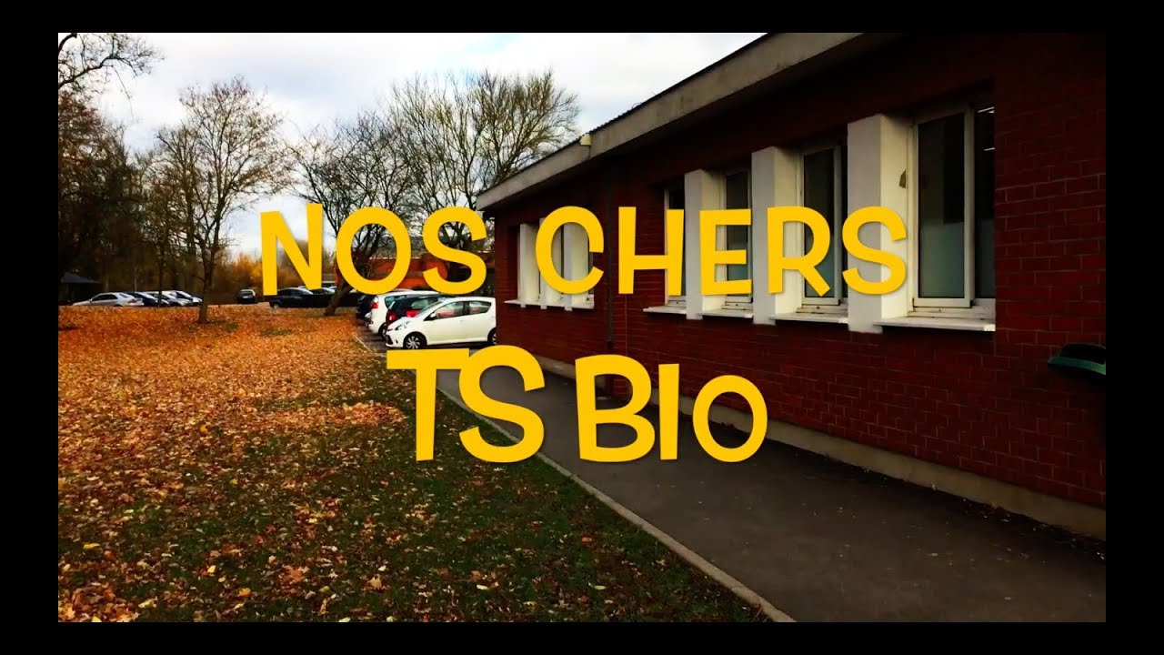 Institut d'Anchin - Vidéo soirée de noël 2017 - Nos Chers TS BIO