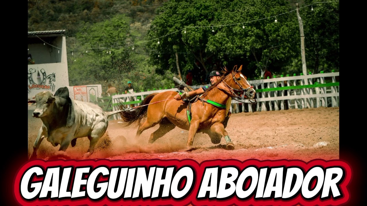 Galeguinho Aboiador - As Melhores