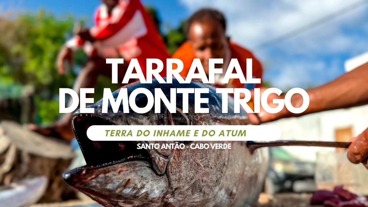 TARRAFAL DE MONTE TRIGO, SANTO ANTÃO - TERRA DO INHAME E DO ATUM