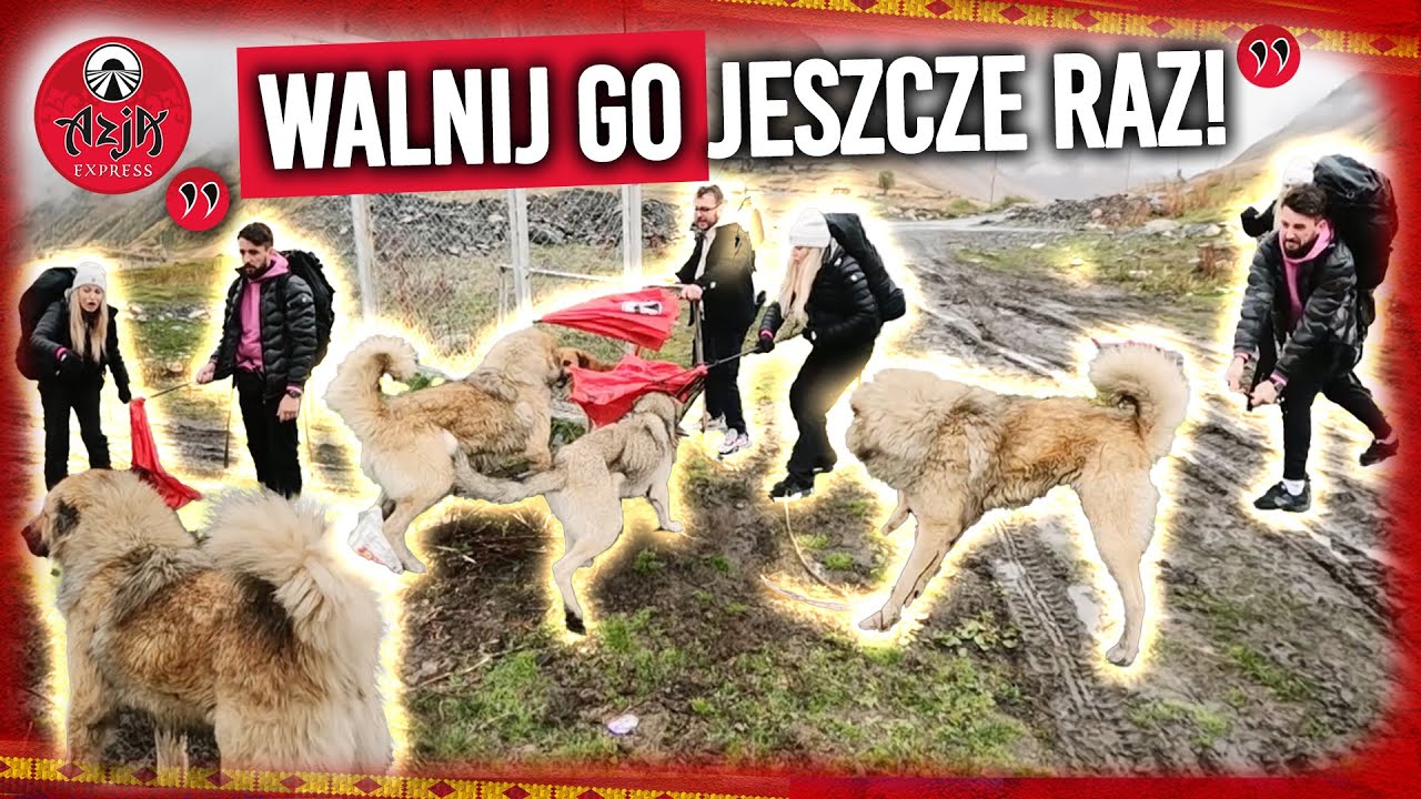 ANDZIAKS WALCZYŁA O ŻYCIE MAŁEGO PIESKA ❗ | Azja Express