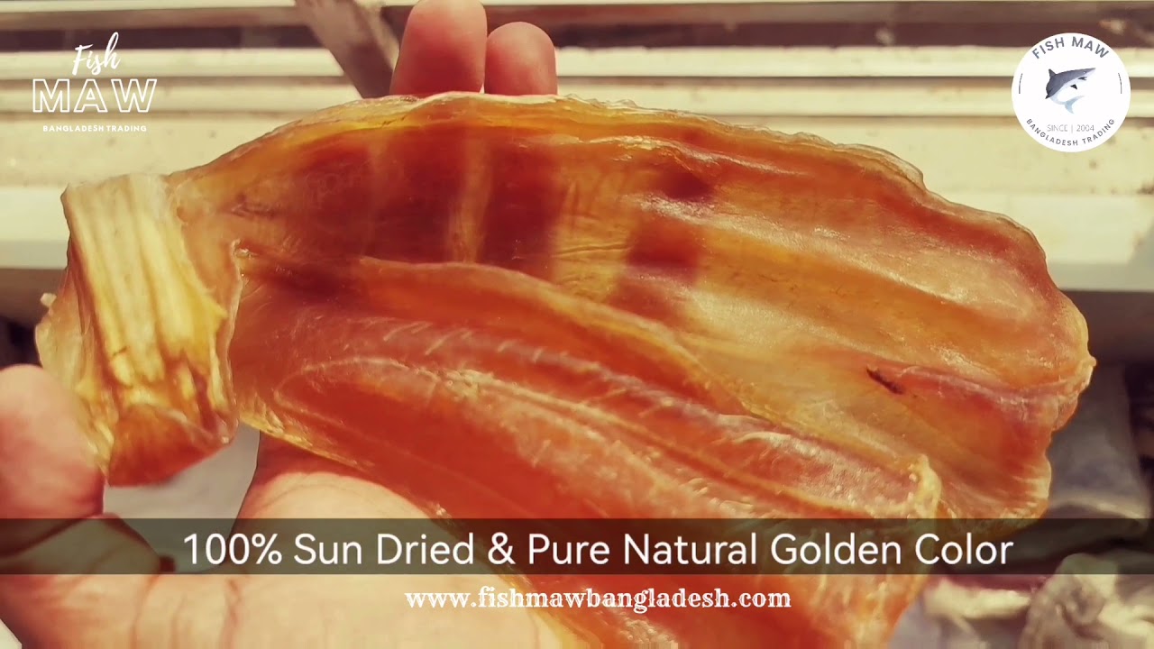 Ling Fish Maw | Best High Quality Seafood | Fish Maw