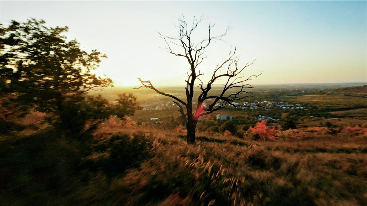 Beregszász - Autumn chill | Cinematic FPV