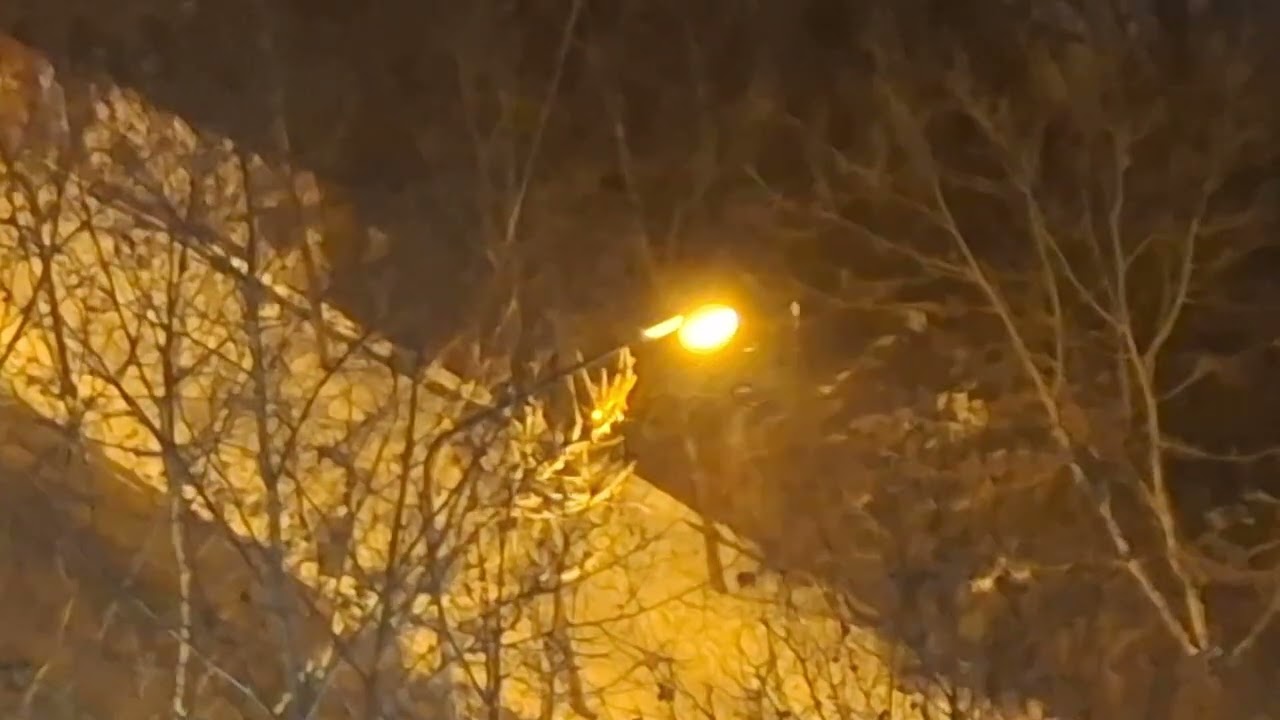 Ninsoare moderată în seara zilei de 18 ianuarie 