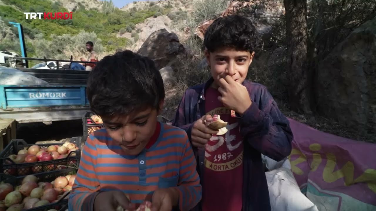 Zivzik (Hinarên Zivzikê)