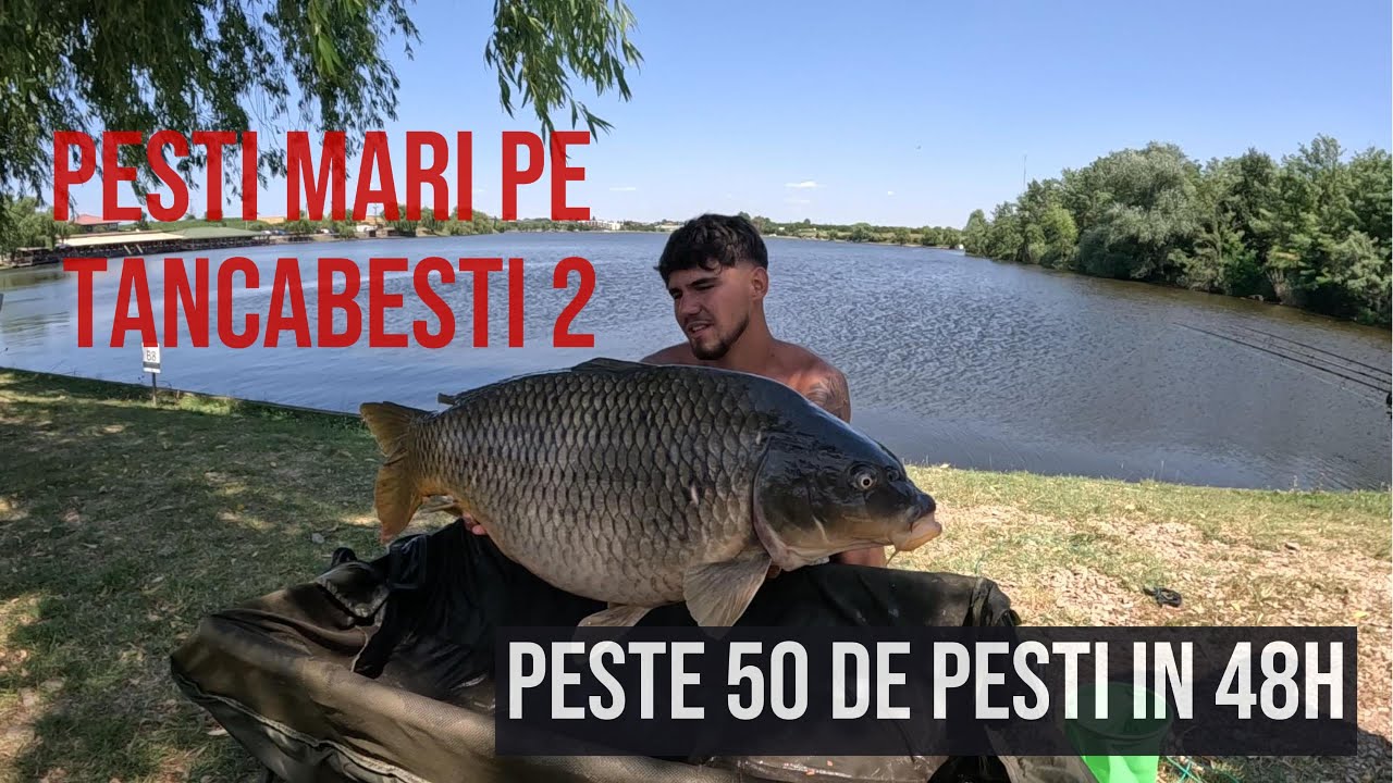 Pescuit nebun la Tancabesti 2 ❗❗50+ crapi si teni in 48 de ore ❗❗