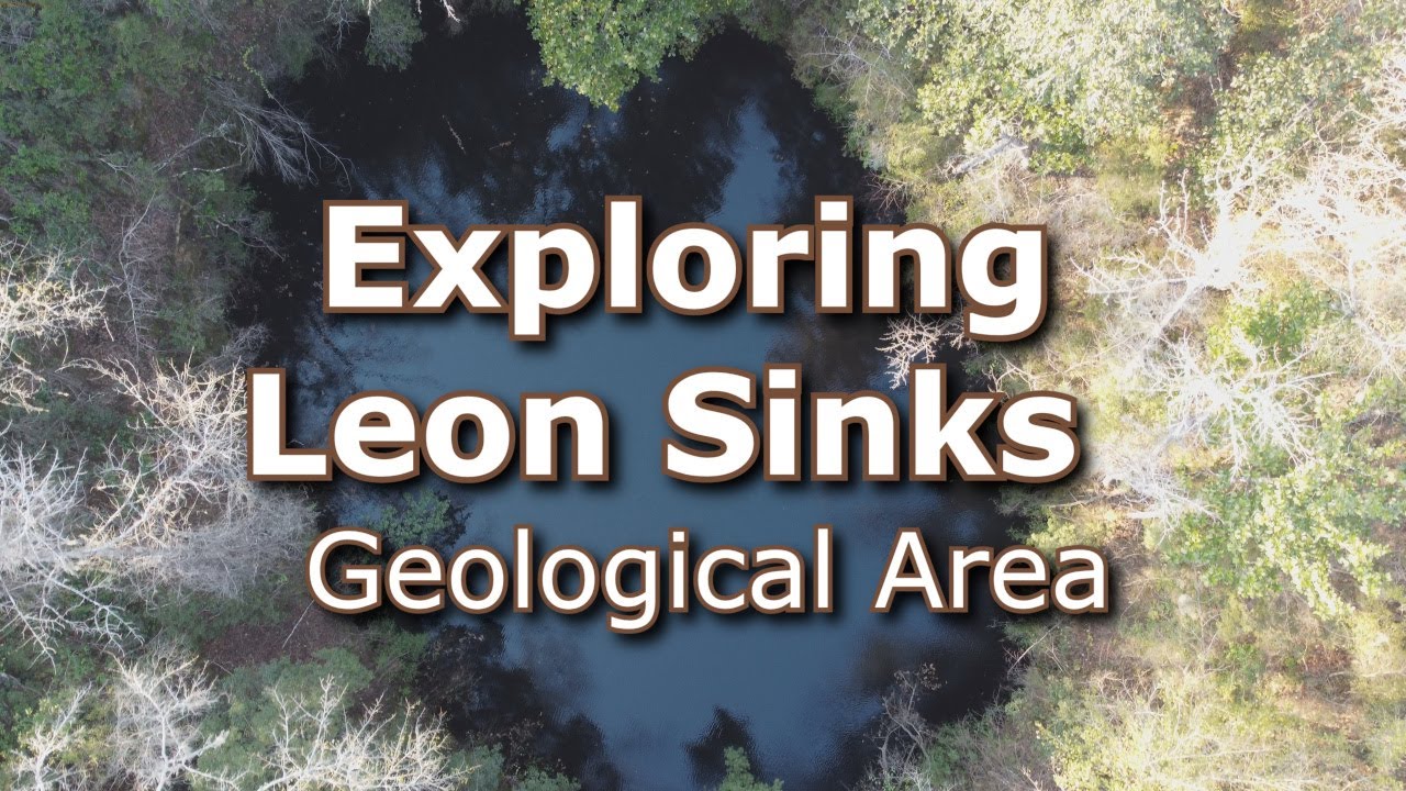 Exploring Big Dismal & Leon Sinks Geological Area