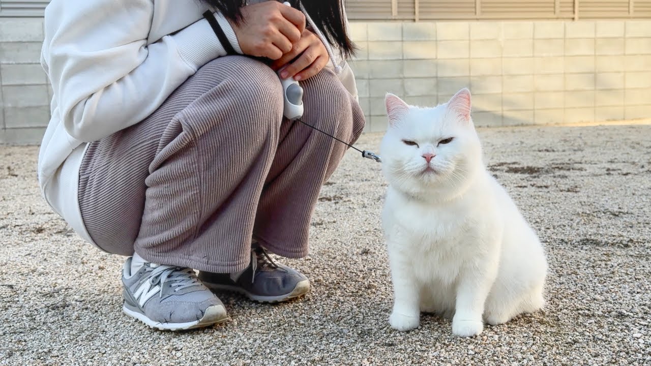 今年最後の散歩が楽しすぎて帰宅を全力拒否してくる…！