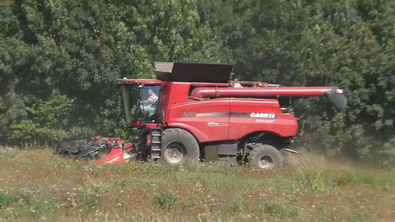 Getreide Ernte 2021 Dreschen von Sojabohnen Case Ih Axial Flow®  Case Mähdrescher