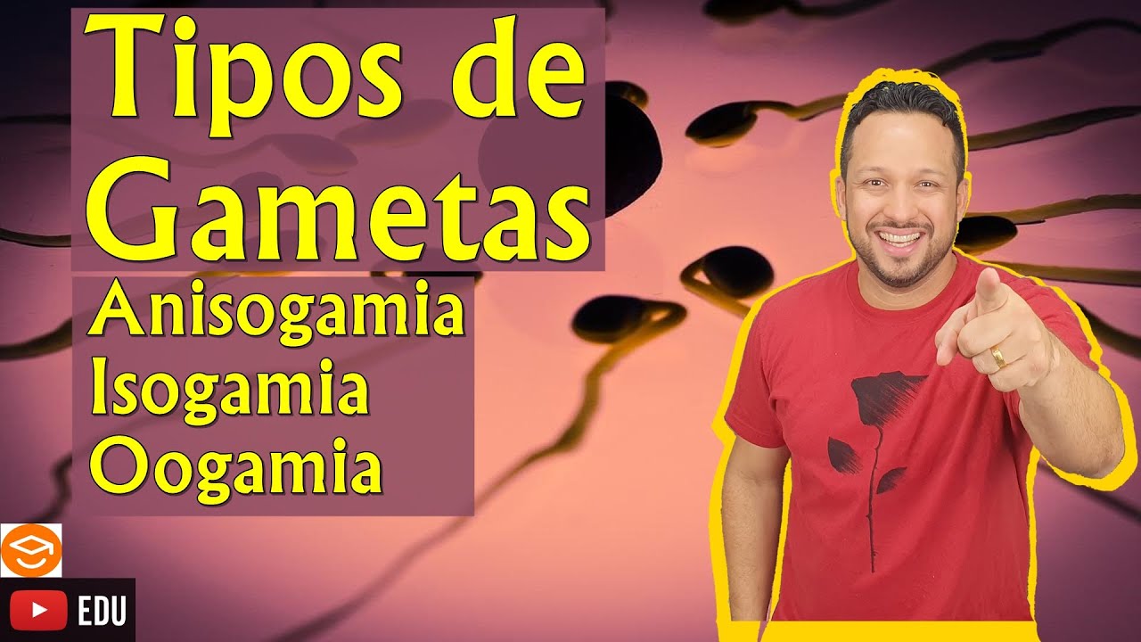 Tipos de Gametas - Anisogamia, Isogamia e Oogamia - Reprodução