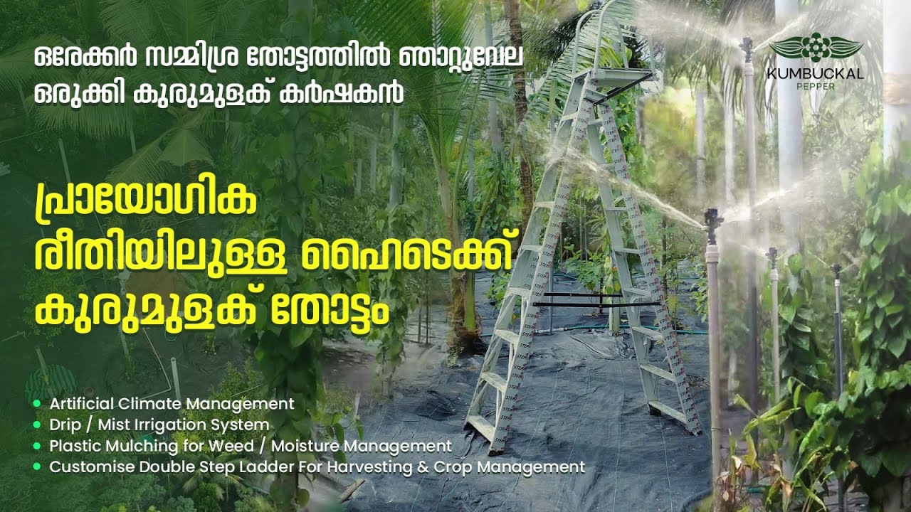 ശ്രദ്ധയാണ് ഏറ്റവും വലിയ പരിചരണം - Binu Aravind | Well maintained, Automated black pepper plantation