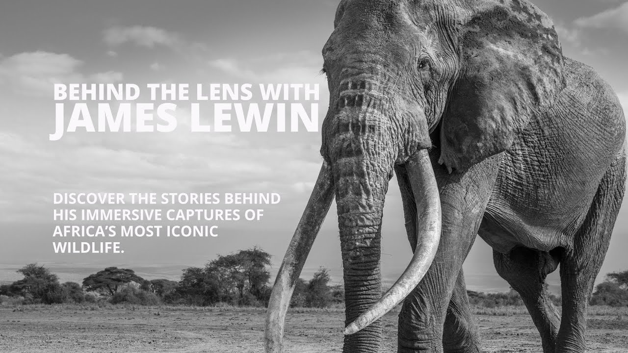 Behind The Lens With James Lewin