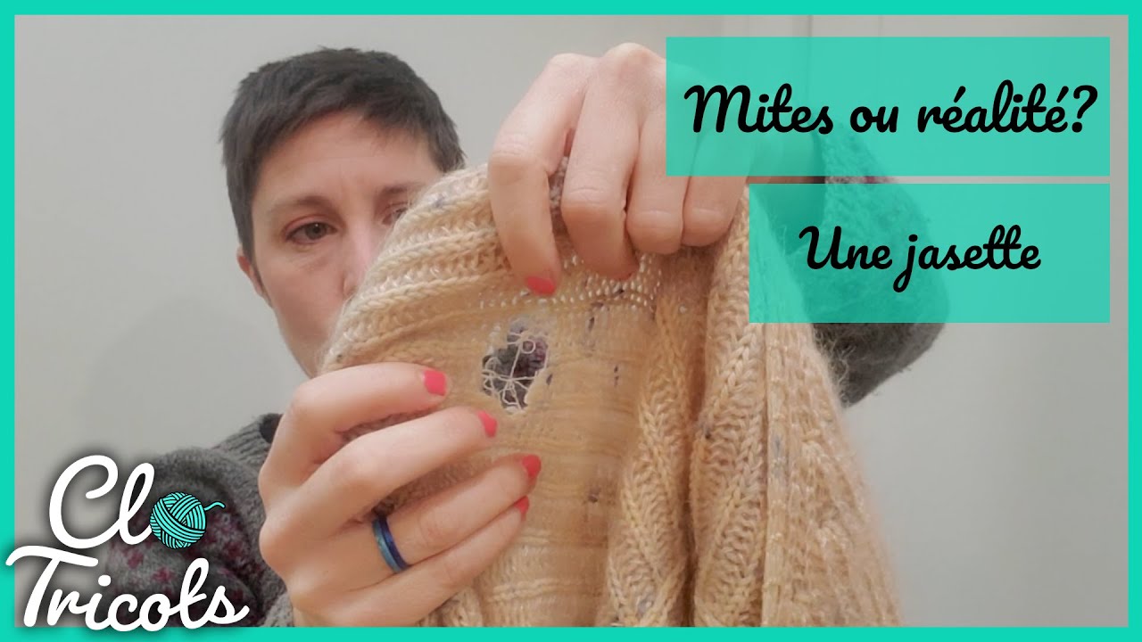 Jasette tricot - MITES ou réalité? Parlons de ces bêtes qui nous embêtent!