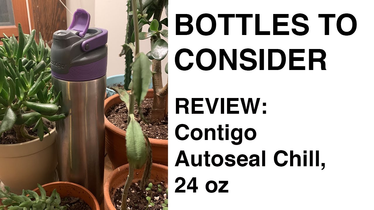 Contigo Autoseal Chill, 24 oz Bottle: A Bestseller for a Reason, but Not for Me...