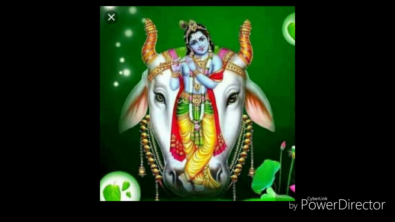 கண்ணா உன் சன்னதியில்....
