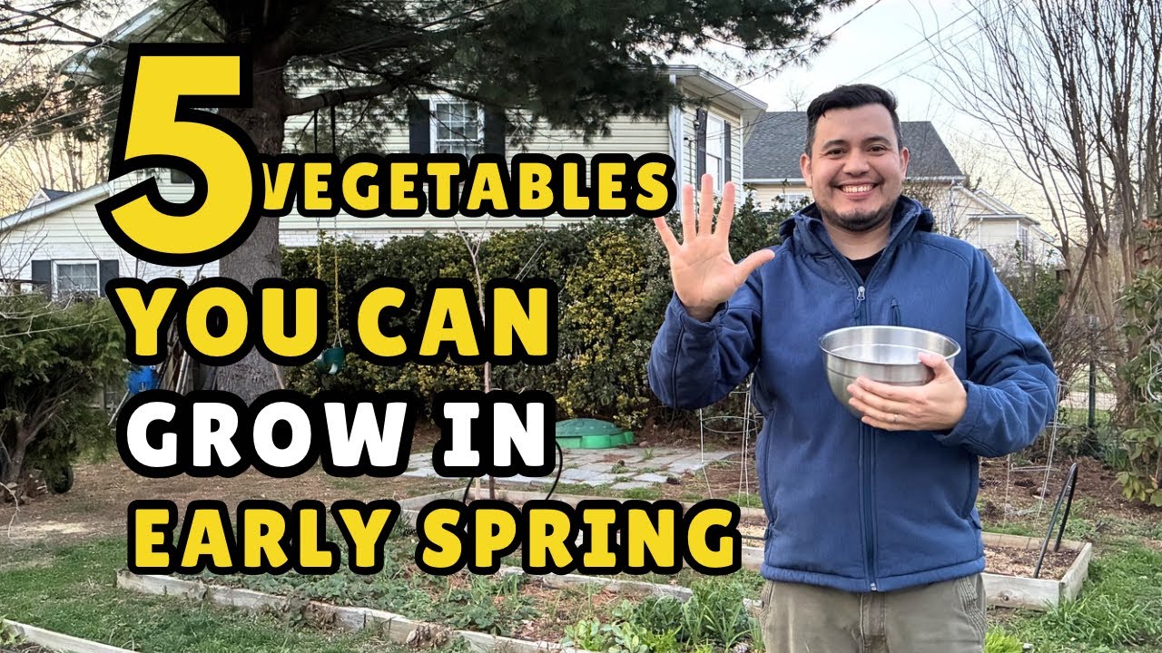 5 vegetables that you can grow in early spring: zone 7b gardening 