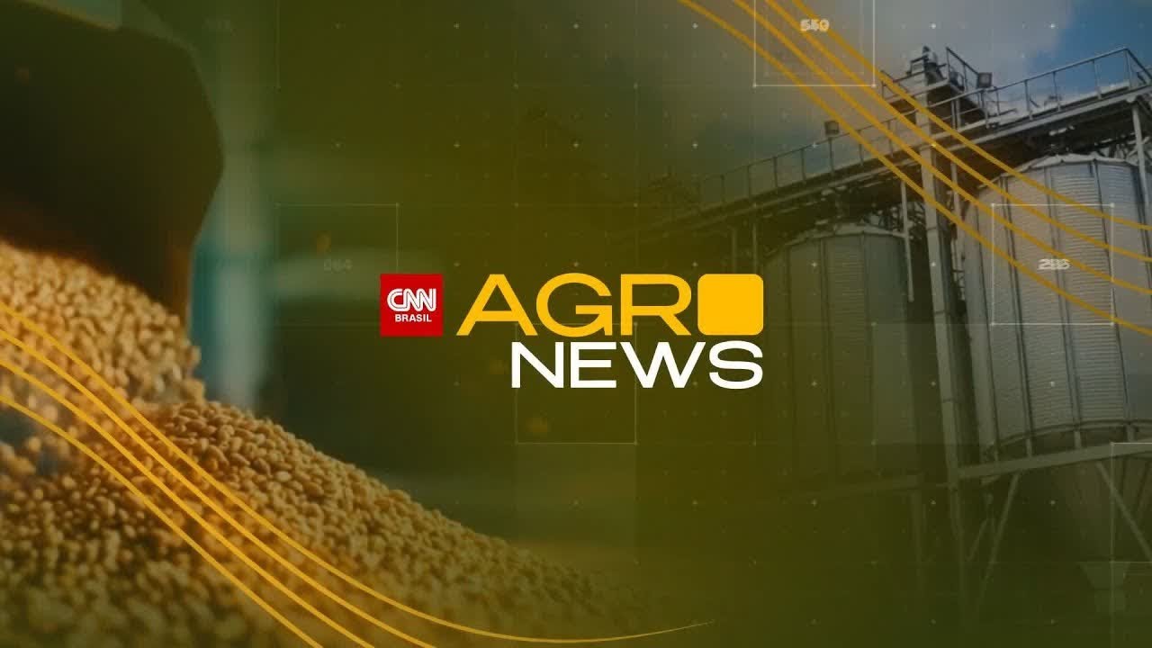 Brasil flexibiliza inspeção de soja após dificuldades de exportadoras | AGRO NEWS