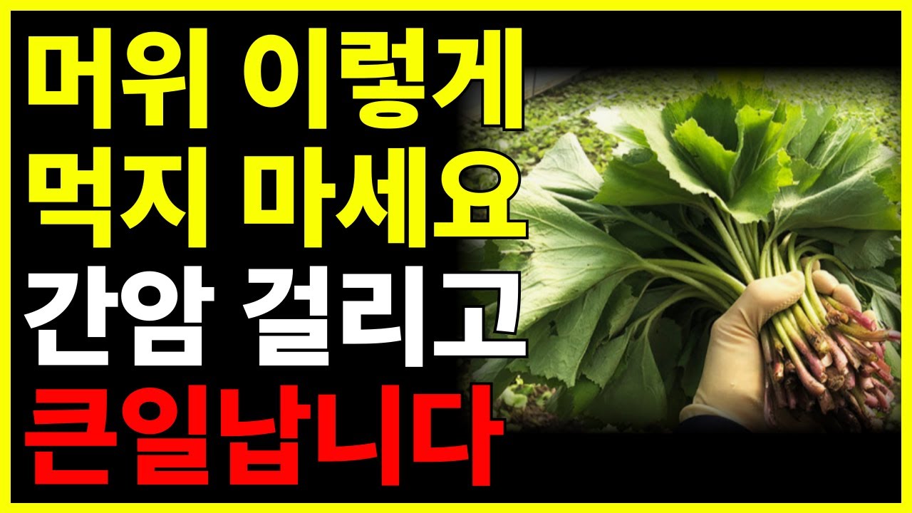 머위 이렇게 절대 먹지 마세요! 맹독입니다. 머위의 효능 부작용ㅣ머위와 함께 먹으면 좋은 최고의 음식3가지ㅣ건강하게 먹는 방법ㅣ당뇨 음식ㅣ머위 무침