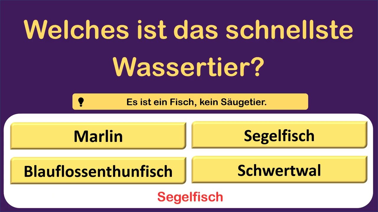 Bist du ein Genie? Dieser Allgemeinwissen-Test mit 18 Fragen wird dich fordern! 🧠🔥