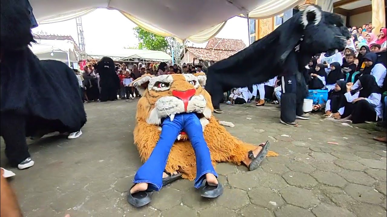 Cewek Cantik Dicaplok Barongan Can Macanan NEW PANDAWA 