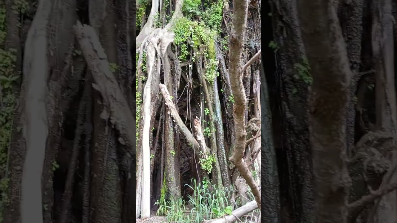 Lugar de cuevas ,donde vivían nuestros antepasados. Increíble 😱😱