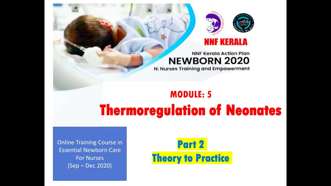 Module 5 Part 2 (Theory to Practice)