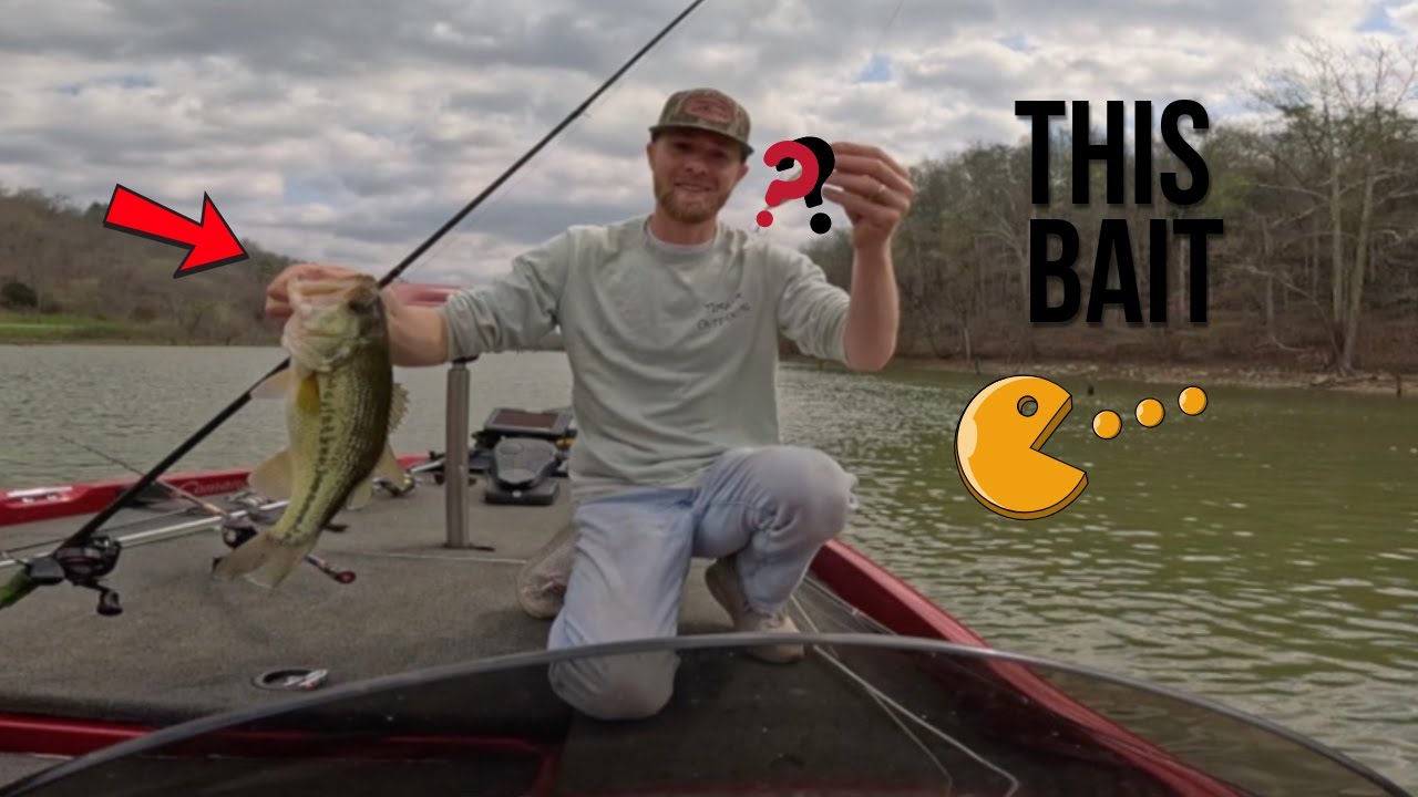 Bass Fishing Norris Lake Early April.