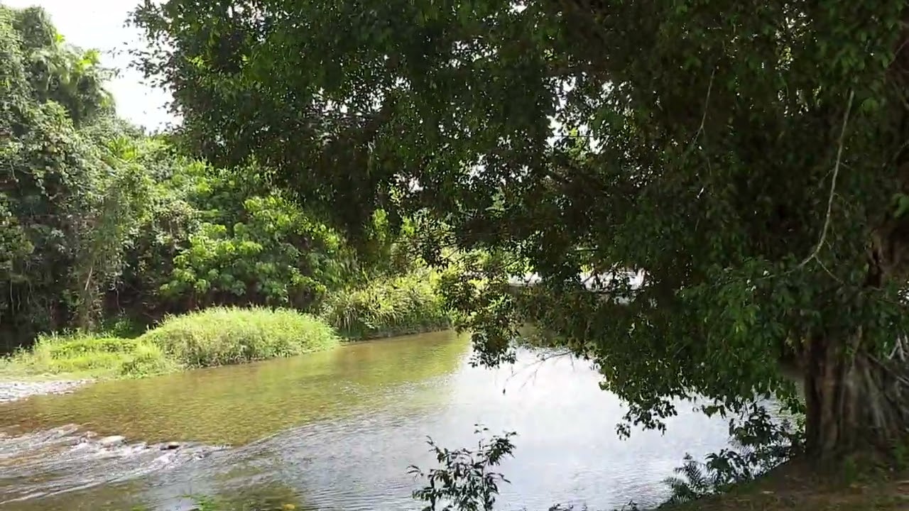 💧💧💧LIVERPOOL CREEK SWIMMING HOLE - fresh sacred soothing healing🔆🔆🔆