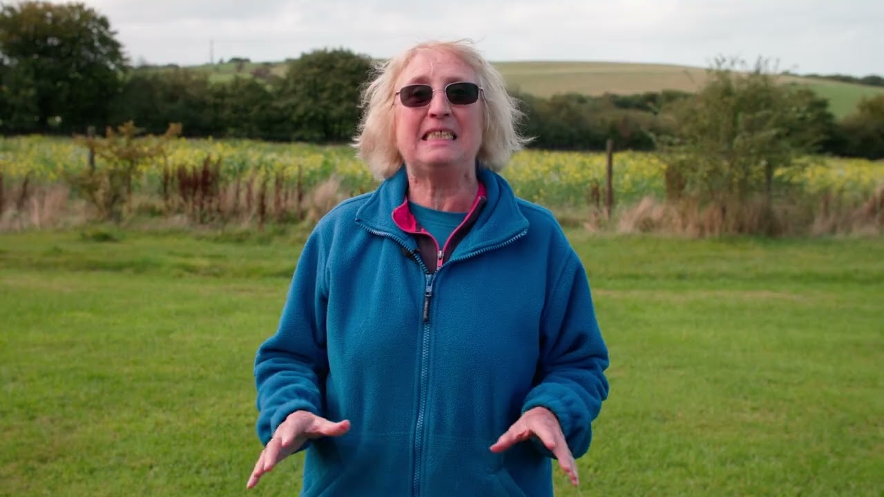 Что для меня значит «непослушная, но милая» [Лиз]