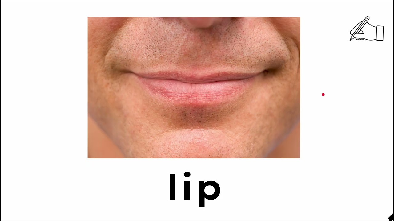 ABCenglish L Blends Word Ladder 1