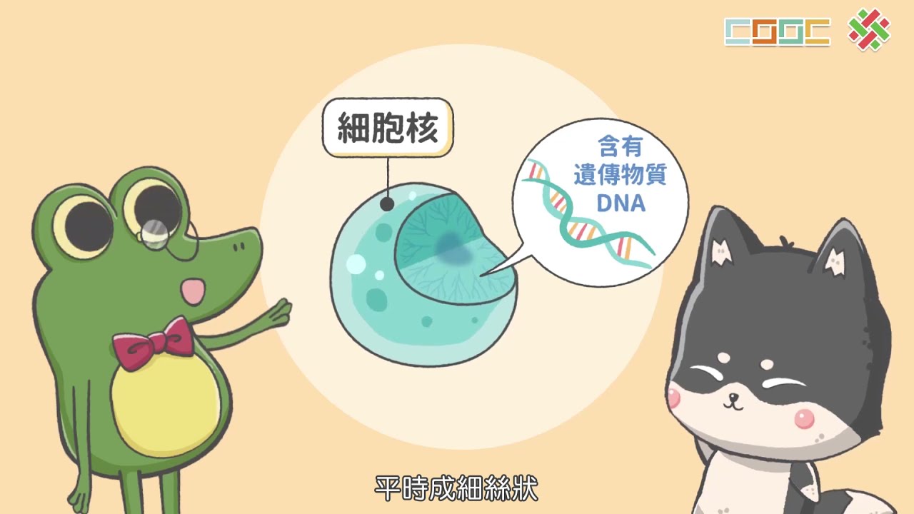 【觀念】遺傳物質