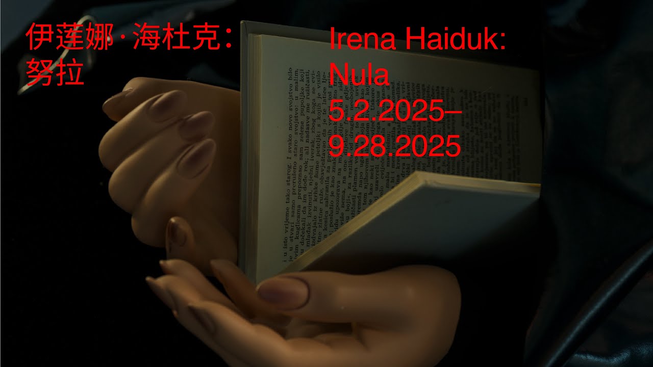 Irena Haiduk: Nula