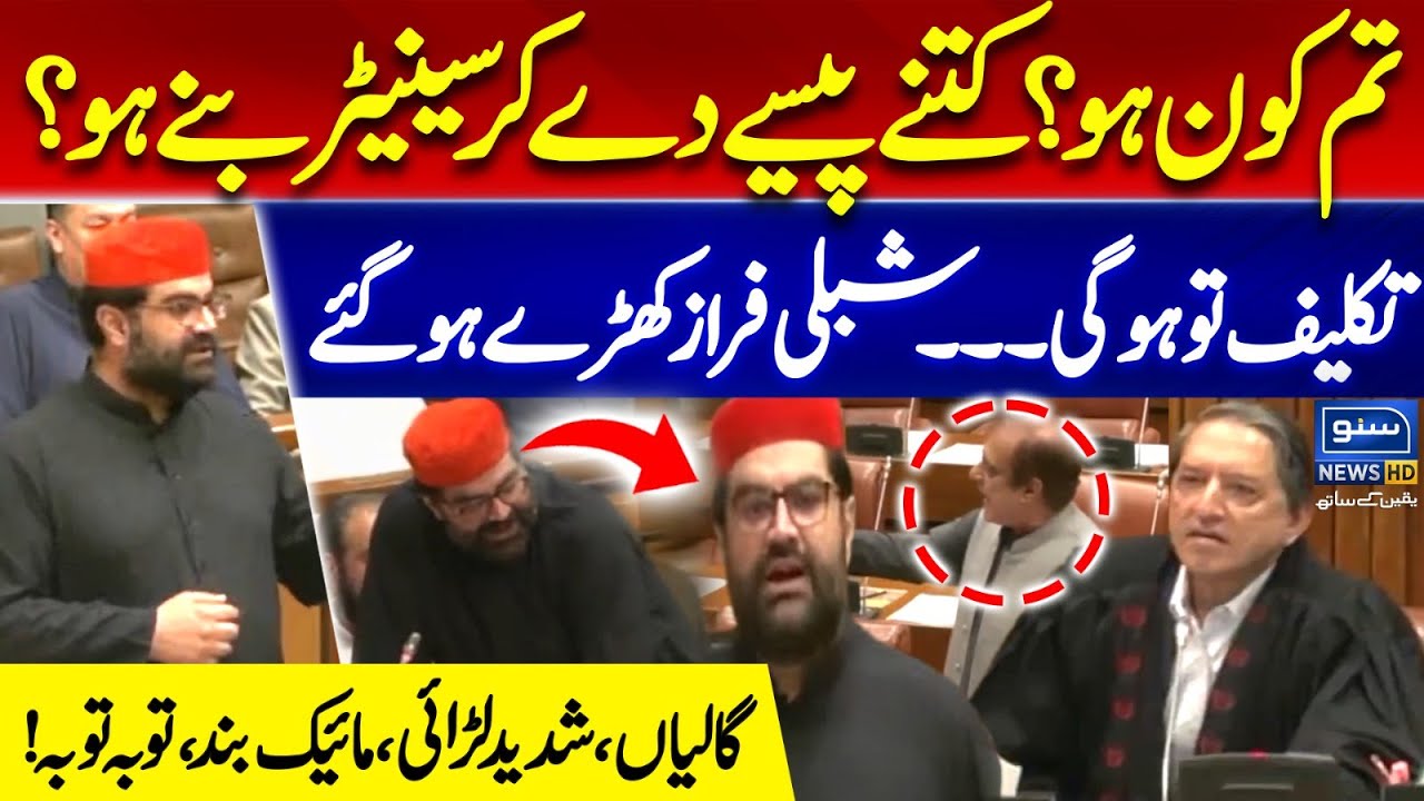 🔥 Aimal Wali Khan Vs PTI Shibli Faraz - Fiery Senate Speech - Intense Debate - Suno News HD