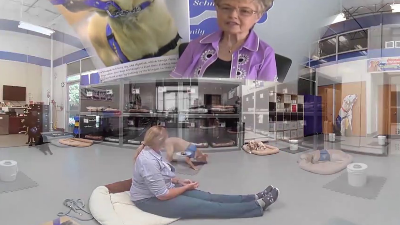 Dogs4Diabetics 360&deg;
