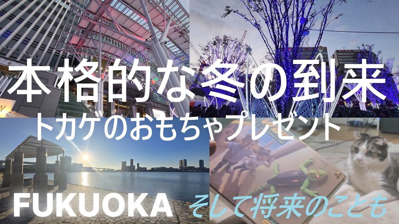 【福岡市 香椎浜】本格的な冬の到来＆TikTokで購入したトカゲのおもちゃへの愛猫Julieの反応　そして将来のこと