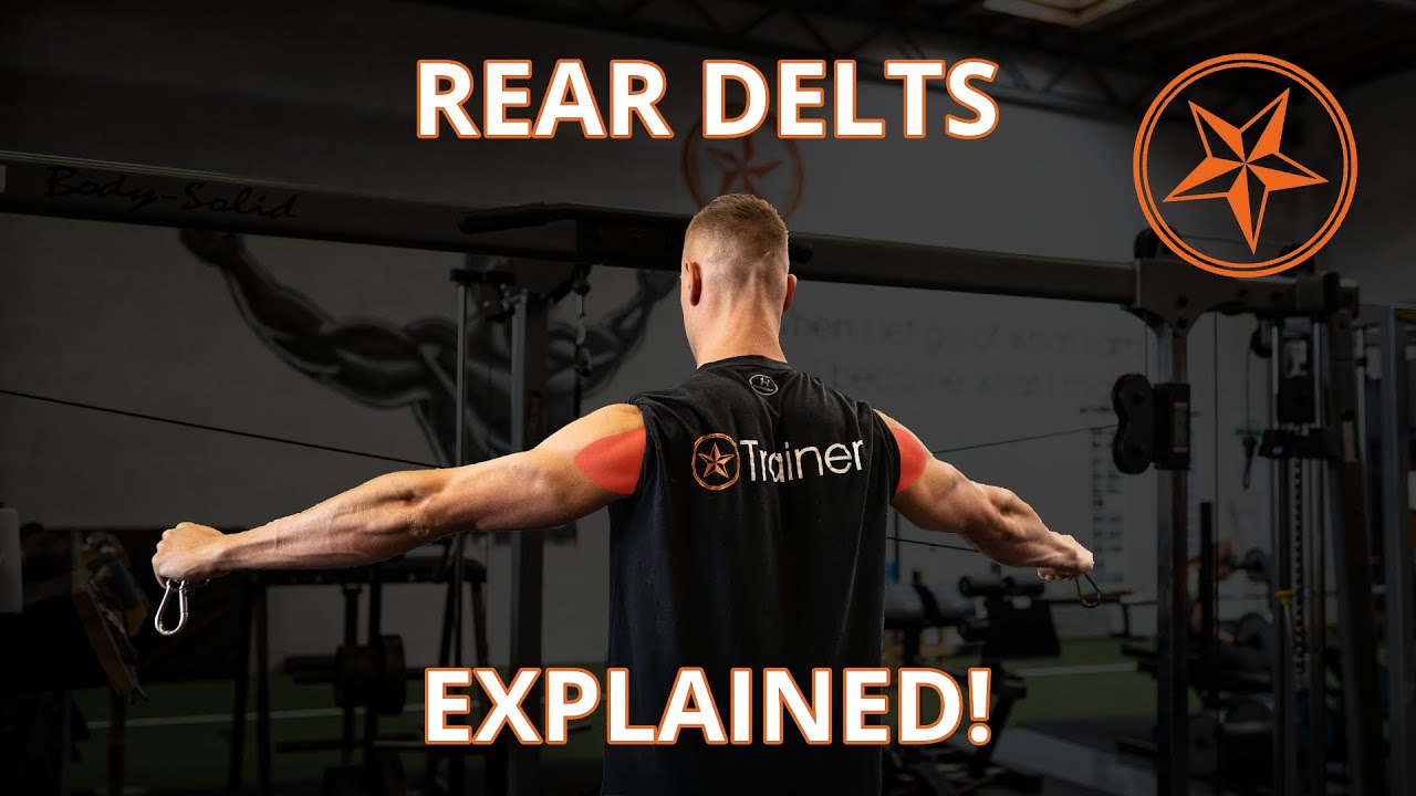 Hoe werken de Rear Delts | Uitleg & Oefeningen