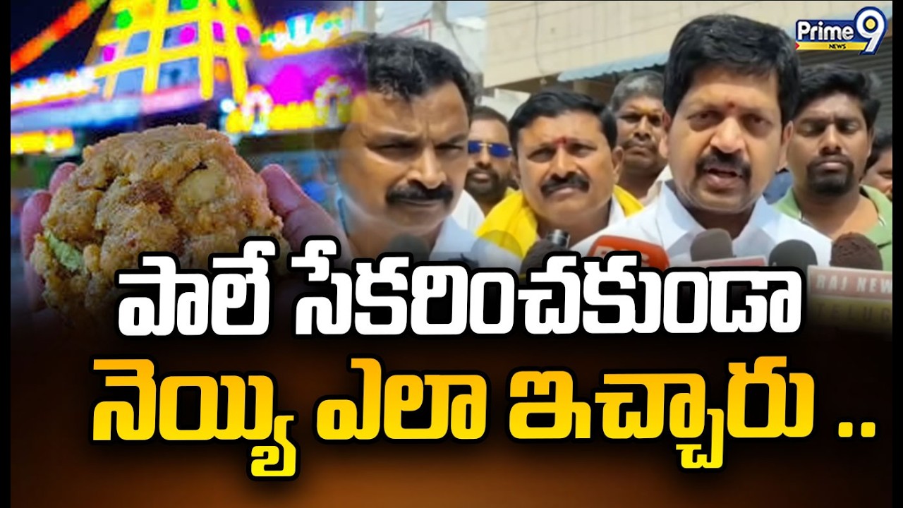 పాలే సేకరించకుండా నెయ్యి ఎలా ఇచ్చారు .. |Minister Kollu Ravindra | Prime9 News