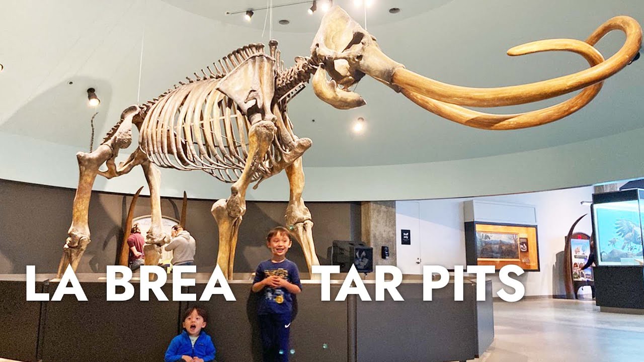 Музей La Brea Tar Pits в Лос-Анджелесе с детьми: что посмотреть внутри и снаружи