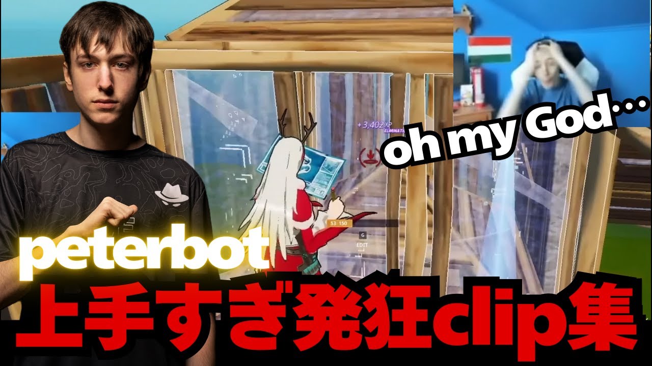 peterbot clip発狂集を作ってたら怪しいクリップが出てきた
