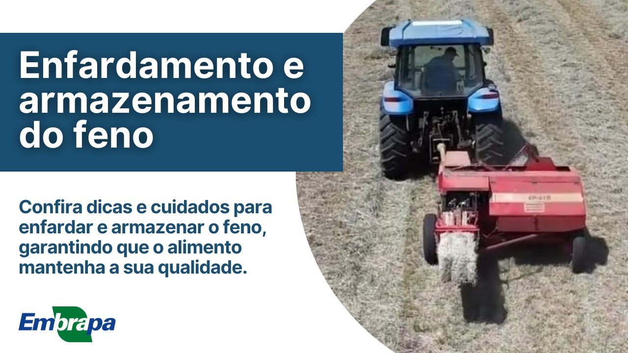 Enfardamento e armazenamento do feno