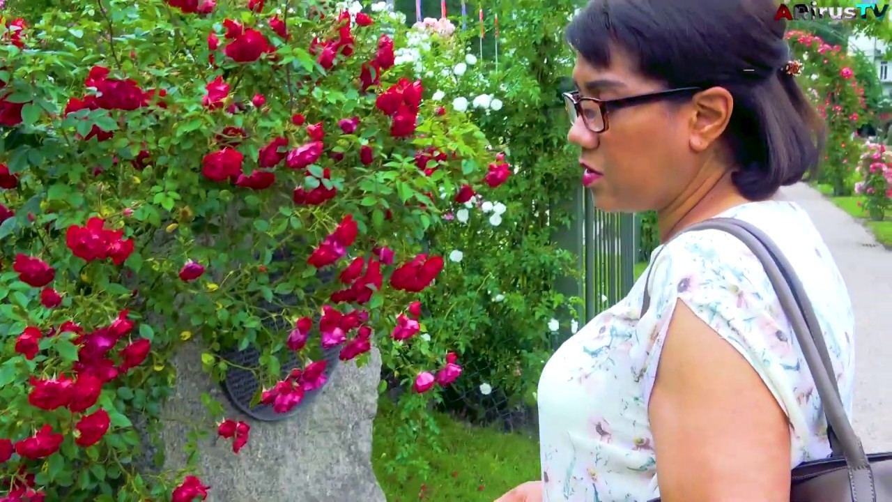 Tour por el Jardín de Rosas mas bello del Mundo - Vlog ARIrusTV