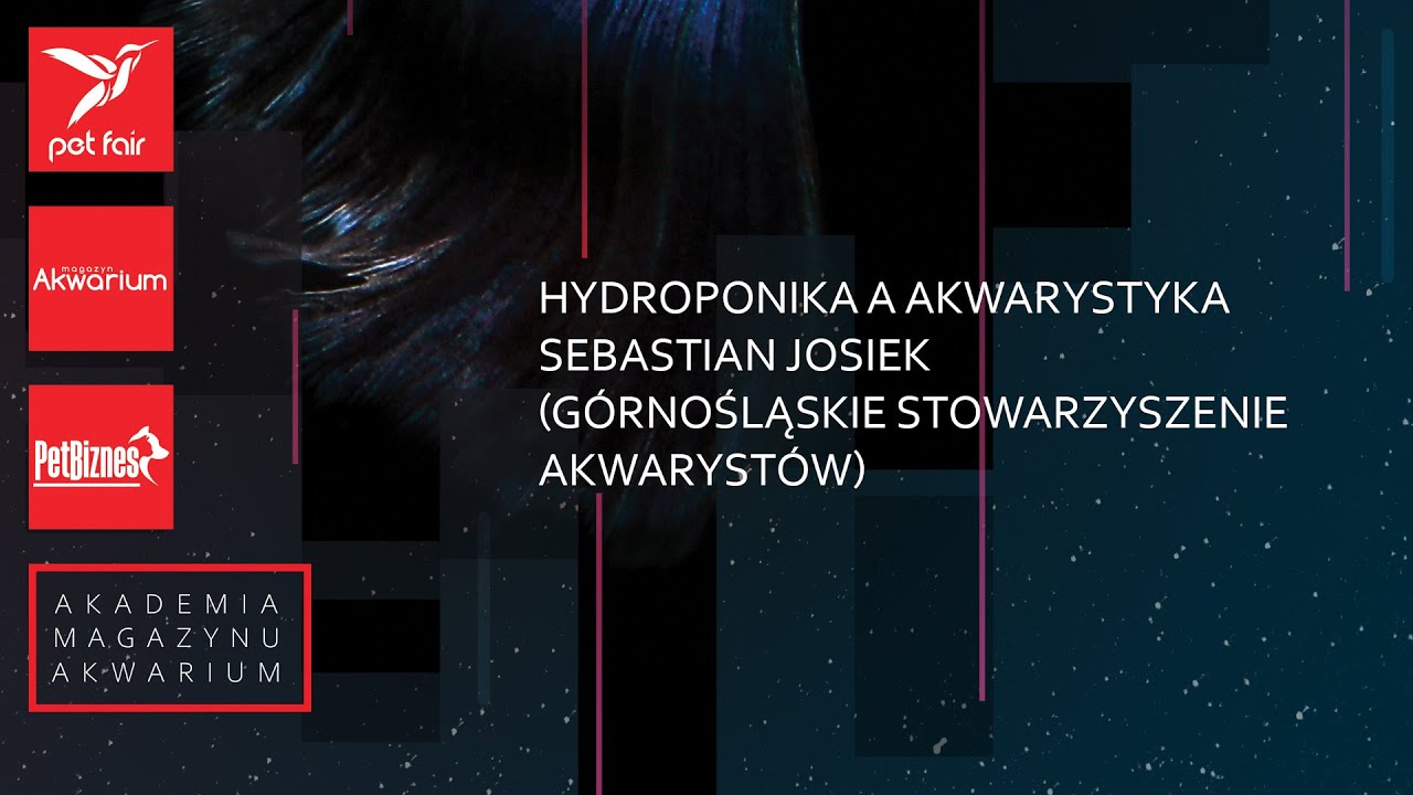Hydroponika a akwarystyka – Sebastian Josiek (Górnośląskie Stowarzyszenie Akwarystów)