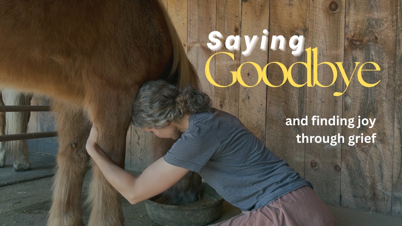 A Gentle Farewell: Our Final Day with our Pony
