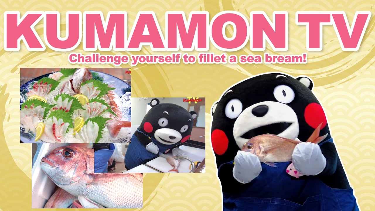 【Kumamon TV】🐟Challenge yourself to fillet a sea bream!