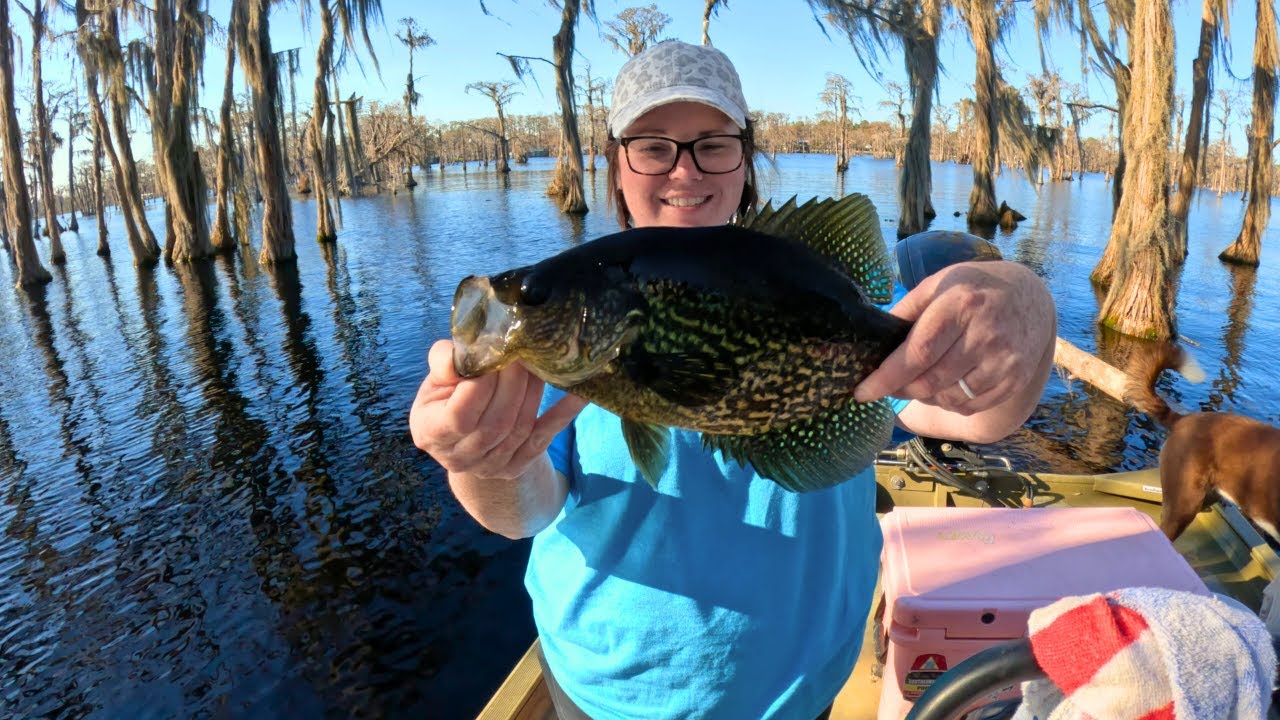 Catching SLAB Crappie In A Cypress Lake | Catch & Cook {Fish Tacos}