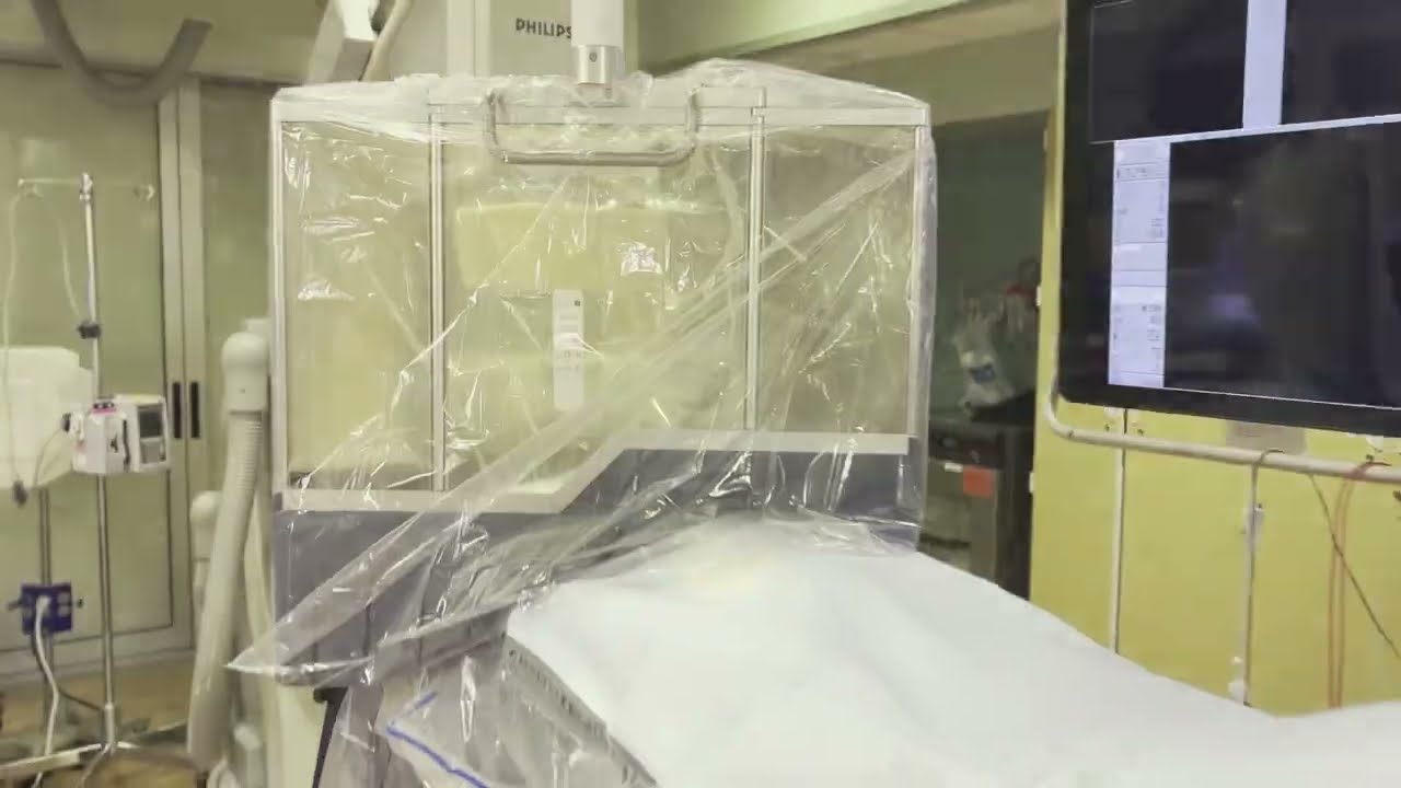 EggNest Complete Setup